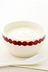 fresh delicious sour cream