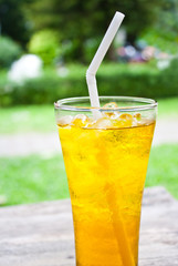 iced chrysanthemum tea (flower tea) on wooden table