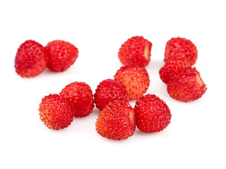 Wild strawberry