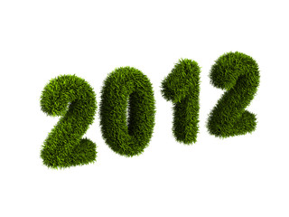 2012 new year grass concept