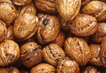 background of wet walnuts