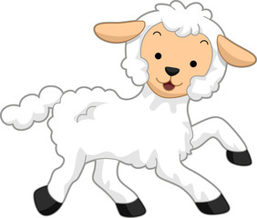 Fototapeta premium Lamb
