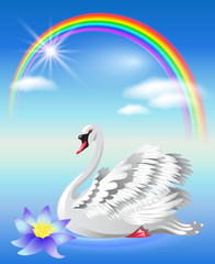 Swan and rainbow