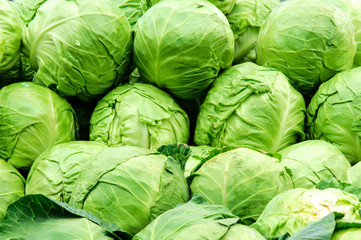 Raw cabbage