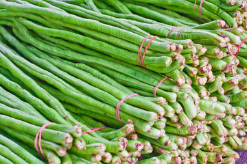 Yard long bean