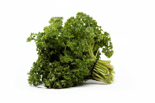 a bunch of parsley on a white background