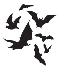 halloween et les chauves-souris