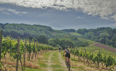 Naklejka premium Mountainbiken im Schwarzwald