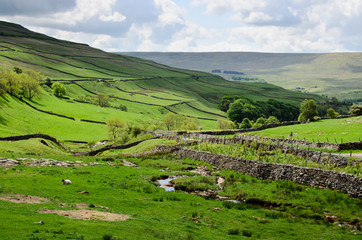 Obraz premium Yorkshire dales rugged landscape