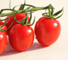 Tomaten
