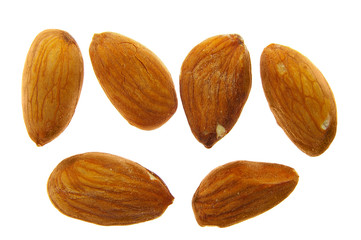 almond group