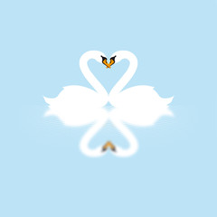 Illustration Schwäne
