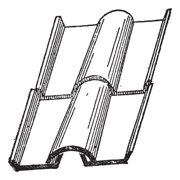 Imbrex and Tegula, vintage engraving