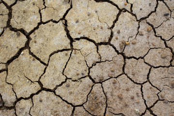 cracked clay ground into the dry lake