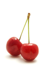 Wild cherry