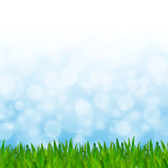 Abstract blue tone bokeh background with green grass.