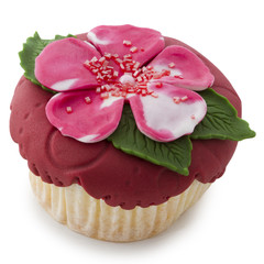 Cupcake in red, pink and green