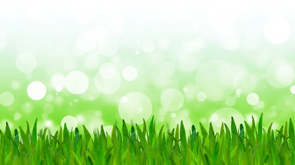 Abstract  green tone background with green grass