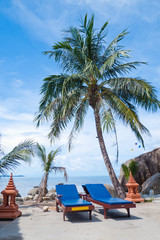 chairs on tropical beach with palm tree