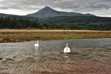 Typical scenery of the Isle of Arran in Scotland