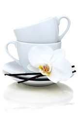 Two teacups, vanilla and flower. teacups, vanilla and flower.