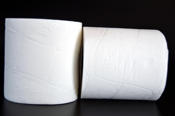 Paper toilet