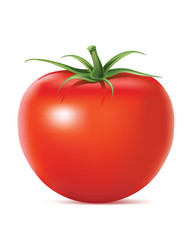 Vector illustration. Tomatoes.