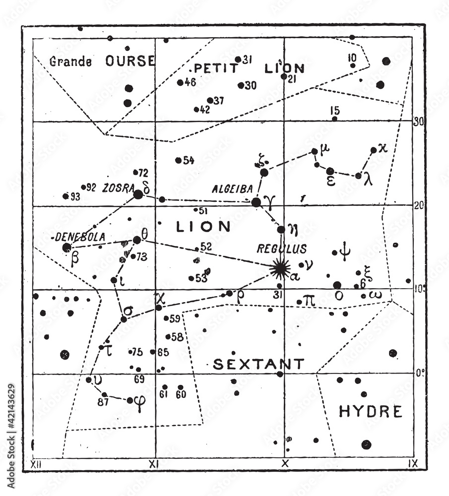 Wall mural leo constellation, vintage engraving
