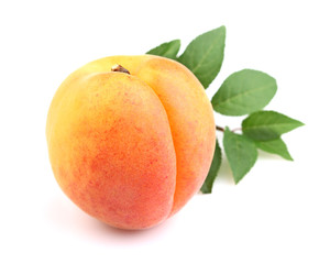 Fresh apricot with leaves