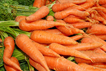Fresh carrots