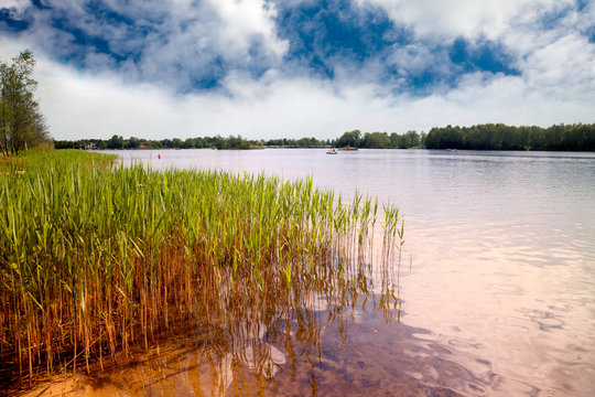 am Kiebitzsee