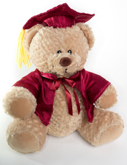 Graduation Teddy Bear