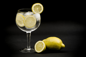 Gin Tonic Limon