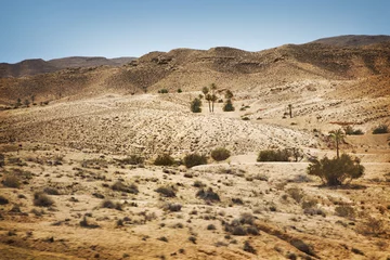 Fototapeten Sahara desert © adisa
