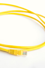 Yellow lan cable on white background