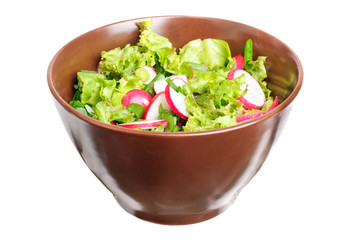fresh salad with radishes, lettuce and onions