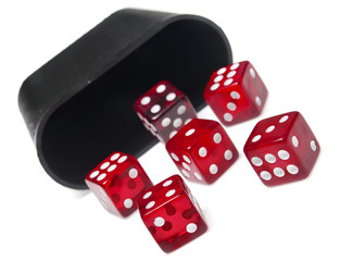 Dice rolling on white background from shaker