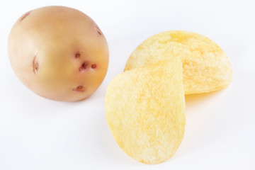 Potato and potato chips on a white background