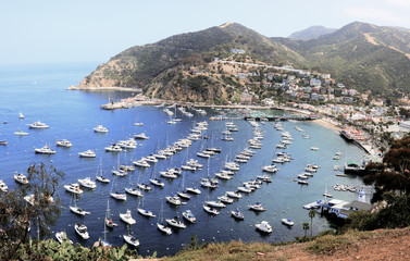 Avalon Harbor - Catalina Island