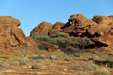 Fototapeta na wymiar krajobraz pustyni kamienia i drzewa