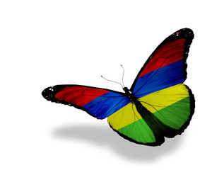 Fototapeta na wymiar Mauritius flag butterfly flying, isolated on white background