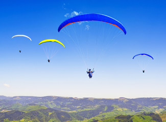 Gleitschirmflieger im Schwarzwald
