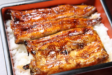 Broiled eels on rice