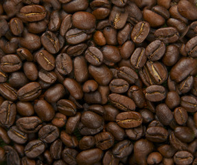 Naklejka premium coffee beans, flavor seed background