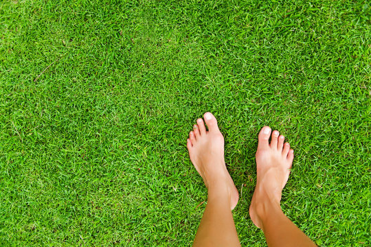 Beautiful Slim Female Feet on Green Grass Stock Image - Image of female, grass: