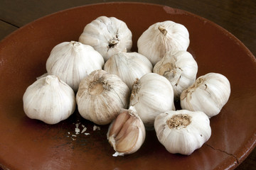 Garlic