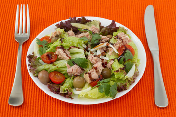 salad with tuna on the white plate