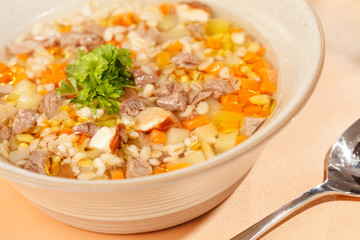 soup with meat