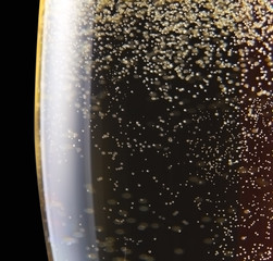 champagne in wineglass on a black background © Igor Normann
