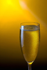champagne